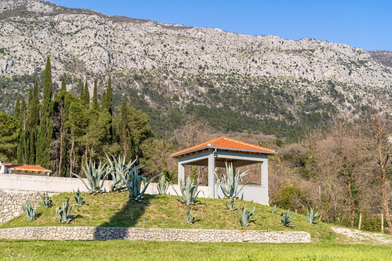 Villa Agave Gruda Bagian luar foto