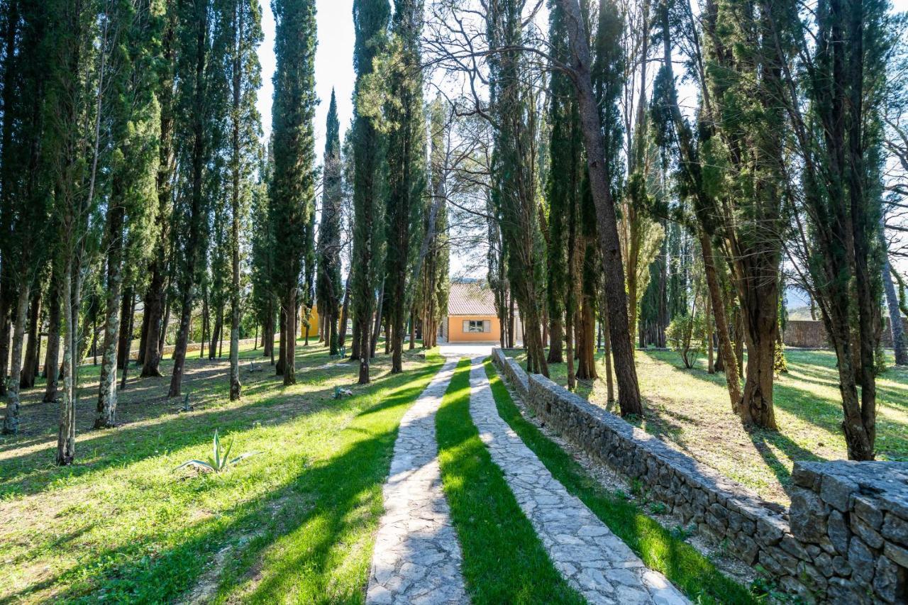 Villa Agave Gruda Bagian luar foto